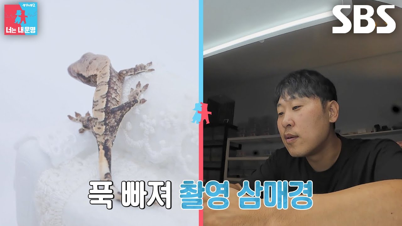 윤석민, 실시간으로 알 깨고 나온 도마뱀 전용 스튜디오에서 기념 촬영!