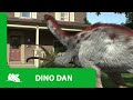 Dino Dan Therizinosaurus Promo Jason Spevack Sydney Kuhne Isaac Durnford