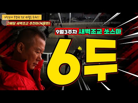 9/-20-토-강백호-훈련변화 뚜렷한 마필들이 유리한 경마주간!! 2주간 훈련변화 보인 마필은?