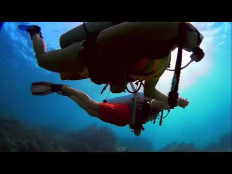 Sunny Travel - Nico Staf | [No Copyright Music]