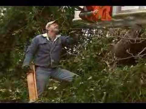 Storm Damage Cleanup