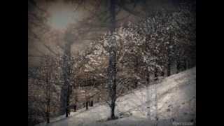 Julius Patzak: Winterreise D 911 by Schubert