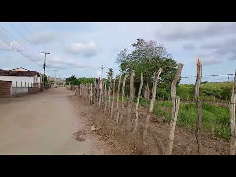 Caminhada #sítio Areial #zona rural #paraiba novembro 2025.