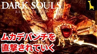 【ダークソウル リマスター】字幕実況#25 デーモン遺跡 ボス 百足のデーモン PS4版 DARK SOULS REMASTERED
