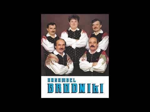 Ansambel Brodniki - Kjer so zelena polja