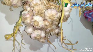 𝑪𝒚𝒔𝒕𝒊𝒄 𝑨𝒄𝒏𝒆 𝑹𝒆𝒎𝒐𝒗𝒂𝒍 & 𝑰𝒏𝒇𝒍𝒂𝒎𝒎𝒂𝒕𝒐𝒓𝒚 𝑨𝒄𝒏𝒆 #𝟗𝟎𝟎𝟏𝟖