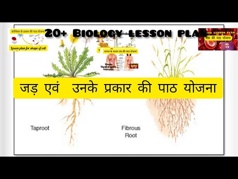 जड़ एवं  उनके प्रकार की पाठ योजना ! Root lesson plan ! jad or prakaar ki path yojana ! #lessonplan Video
