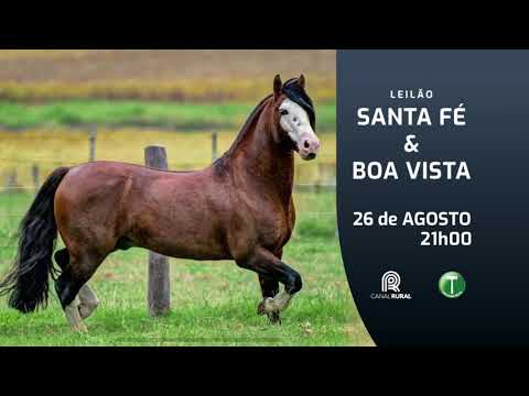 Santa Fé & Boa Vista
