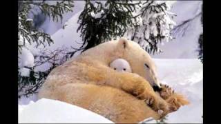 Maranatha Singers - Faithful to Believe