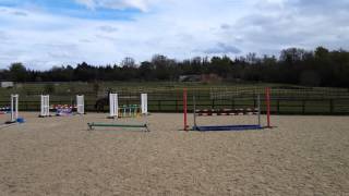 Ficus Andy Austin lesson April 2016