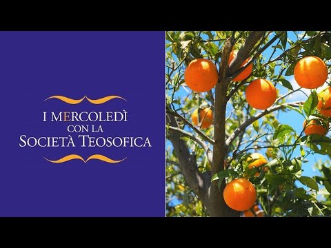 14. VEGETARISMO: MIGLIORARE SE STESSI, MIGLIORARE IL MONDO