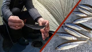 Озера кисегач челябинской области зимняя рыбалка