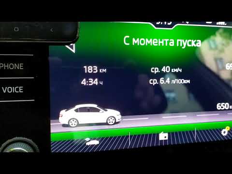 Шкода Октавия А7 NEW!!! Есть ли чаевые в такси???