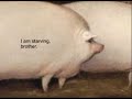 Brother May I Have Some Oats