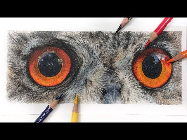 How To Draw A Realistic Animal Eye