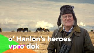 Stalins Vater (O'Hanlon's Heroes 6/8) | VPRO Dok