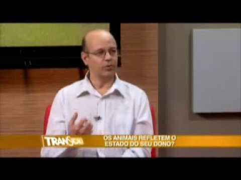 Entrevista com Marcel Benedeti - (parte 2) 20/09/2009 - Programa Transição