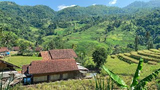 Download lagu KECAPI SULING SUNDA PALING MERDU & BIKIN BETAH DI KAMPUNG | Suasana Pedesaan Garut, Talegong, Jabar mp3