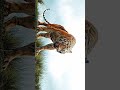 The Jungle Book Mowgli S Epic Adventure