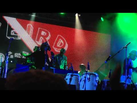 Weird Together - Splore