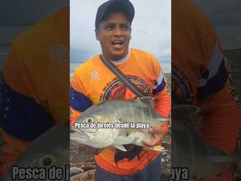 Pesca de JURELES en LA PLAYA mariato de veraguas #pesca .
