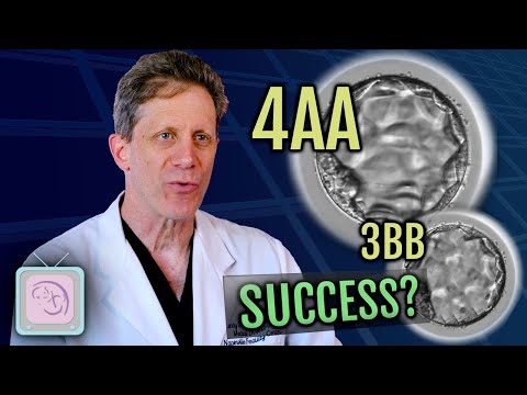 IVF Expert: Do embryo grades predict IVF success?