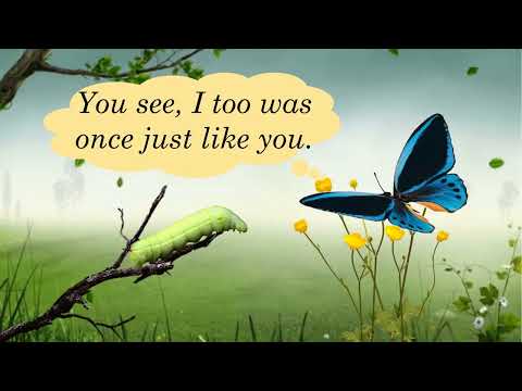 Three Butterflies, Page – 10, The conversation between a butterfly and a caterpillar.