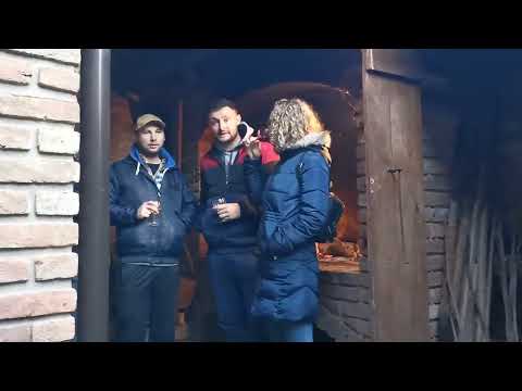 VINCEKOVO 2022 - Vinski podrum Pavlović