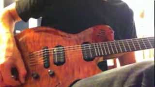 Video thumbnail for Godin LGX by Sam Walker