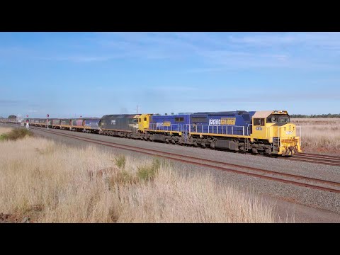 7737V Pacific National Grain Train With XR557 X50 & G523 (14/4/2023) - PoathTV Railways In Australia