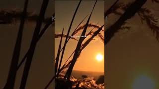 Download lagu Gusti Kulo pun manut dalane mp3