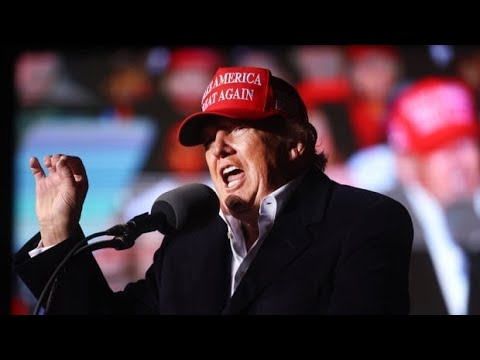 The 15 boxes of White House records that were stored at former U.S. president Donald Trump's Mar-a-L