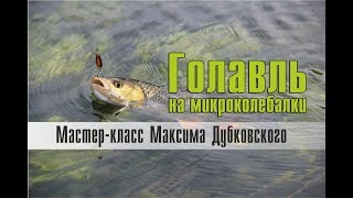 Колебалка на голавля