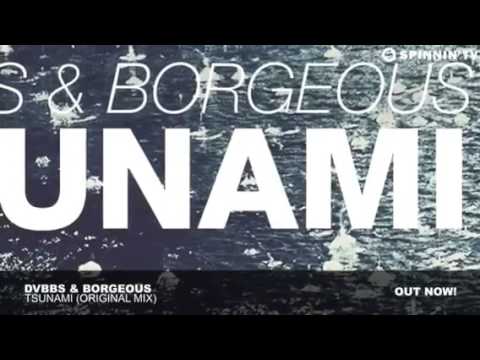 ANIMALS AND TSUNAMI (VEVO NEW REMIX NACHO)