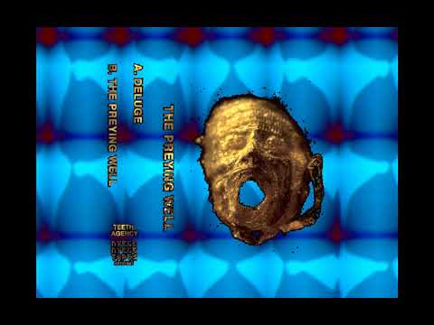 The pr3ying well― NYEGE NYEGE TAPES ▕ metal preyers full disc ▏  ⌟   UGANDACORE