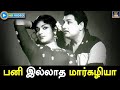 பனி இல்லாத மார்கழியா Paniyillatha Margazhiya Song HD MGR Devika 