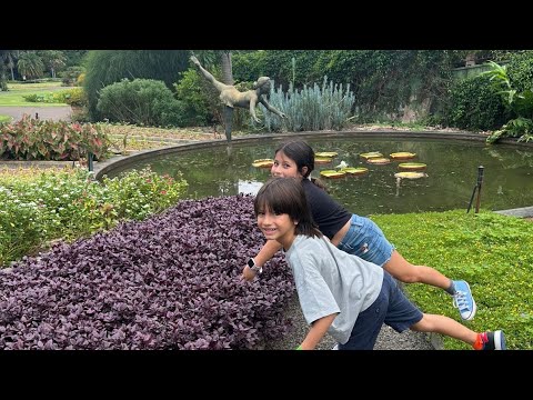 Passeio a 1h de SP + Almoço Delicioso | Jardim Botânico Plantarum (Nova Odessa)