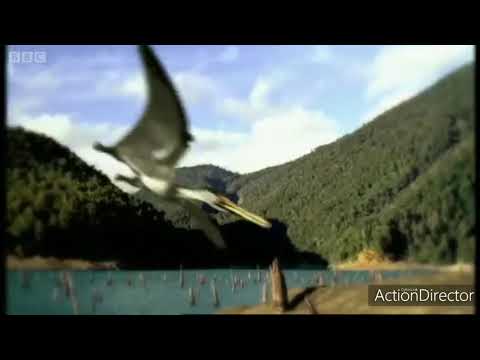 A EXTINÇÃO DOS DINOSSAUROS (ANIMAÇÃO)