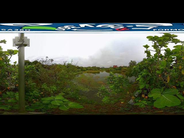 高雄洲仔濕地公園