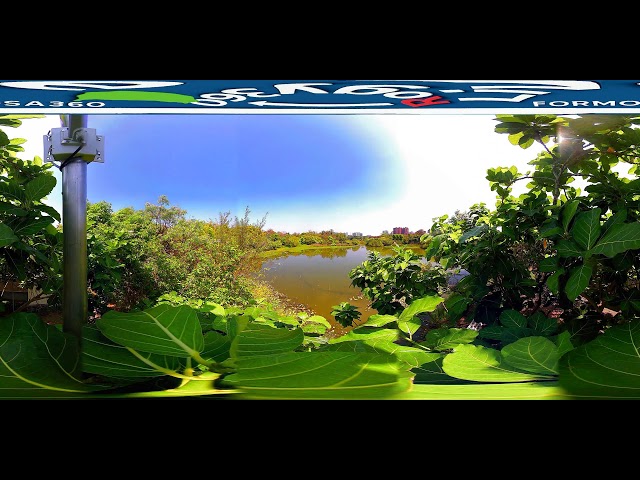 高雄洲仔濕地公園