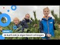Dit weekend worden er heel veel kerstbomen gekocht