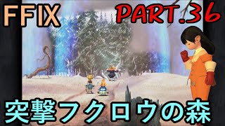 【天然の迷路と】大好きなみんなと旅に出る　FF9実況　Part36【新大陸】