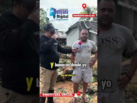 Gigantesco árbol se desplomó producto de las lluvias y destruyó casa del municipio Bolívar