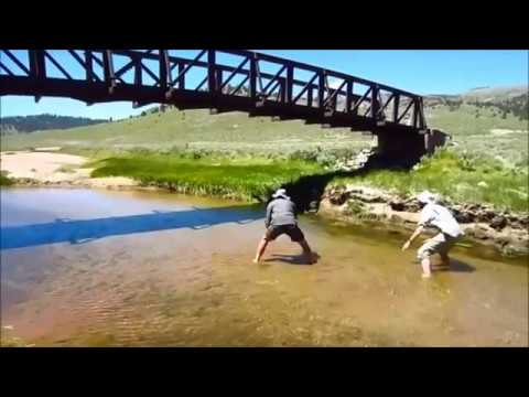 F.K. Někdy příště