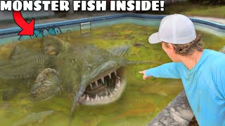 I Caught a MAN EATING Fish in an Abandoned Pool!