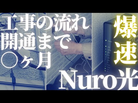 ニューロドンについて詳しく解説