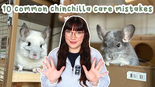 Don't make these 10 common chinchilla care mistakes