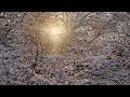 Winter Nocturne. Video Rio Negra; music  Alexandre Desplat - Winter Nights 
