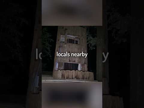 Inside the Bohemian Grove…