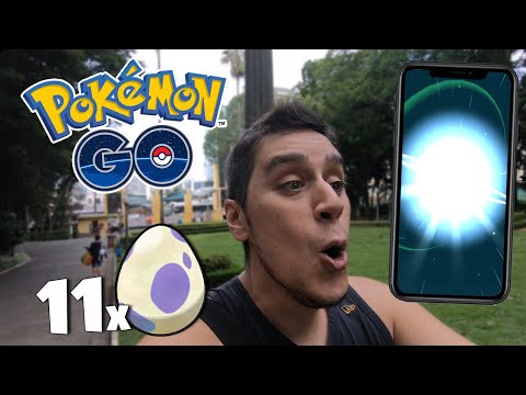 CHOQUEI 11 OVOS DE 10KM E VEIO UM 100% 😱 - Pokémon Go | EBDM (Parte 132) Shiny (Parte 143)